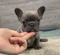 processed/65b0ead8-4996-42d0-86c0-eac11eef711a/listing/b0eb44a6-9389-43a4-80b5-6d718e9061c8/8ac4d381-2b75-49f1-9f17-ee01967f8756