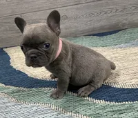 processed/65b0ead8-4996-42d0-86c0-eac11eef711a/listing/b0eb44a6-9389-43a4-80b5-6d718e9061c8/9a678257-1633-458e-8f97-c79ac227d4bc