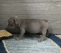 processed/65b0ead8-4996-42d0-86c0-eac11eef711a/listing/bc6e5ed2-da33-4766-8ca6-66dda071918e/ab00e79d-e297-4aa4-bda1-c32e8a5462d5