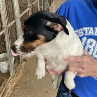 processed/65b11f87-a4cb-4967-98bd-b23c457fa109/facility/6542f1bc-998c-4eef-acbf-52e726a12815