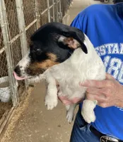 processed/65b11f87-a4cb-4967-98bd-b23c457fa109/facility/6542f1bc-998c-4eef-acbf-52e726a12815