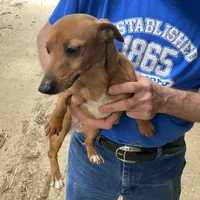 processed/65b11f87-a4cb-4967-98bd-b23c457fa109/facility/6dcee34a-cc9c-4a96-b6c4-19f40b26630b