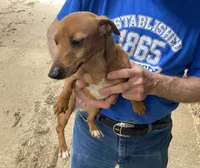 processed/65b11f87-a4cb-4967-98bd-b23c457fa109/facility/6dcee34a-cc9c-4a96-b6c4-19f40b26630b