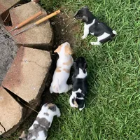 processed/65b11f87-a4cb-4967-98bd-b23c457fa109/facility/d569a760-ade9-4aaa-82ea-1e50a6a1c07e