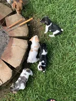 processed/65b11f87-a4cb-4967-98bd-b23c457fa109/facility/d569a760-ade9-4aaa-82ea-1e50a6a1c07e