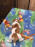 processed/65b11f87-a4cb-4967-98bd-b23c457fa109/listing/2b88018c-a068-48ad-b107-629ba2cae4eb/3f267042-89c9-4a84-8953-93982d7186f8