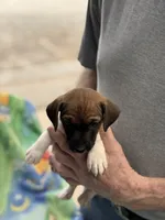 processed/65b11f87-a4cb-4967-98bd-b23c457fa109/listing/431e2785-14af-4050-ac53-c1d2d2e82826/25f866f4-0c52-42a5-9e63-d80169d2ba68