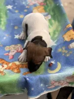 processed/65b11f87-a4cb-4967-98bd-b23c457fa109/listing/431e2785-14af-4050-ac53-c1d2d2e82826/c32041cf-b4cd-48ed-a93e-1754977f954e