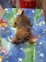 processed/65b11f87-a4cb-4967-98bd-b23c457fa109/listing/4846db99-f956-4ac0-bcc0-ef3893546e68/7a6c6344-9d0f-40be-bc48-435993642d1a