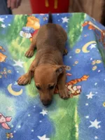 processed/65b11f87-a4cb-4967-98bd-b23c457fa109/listing/4846db99-f956-4ac0-bcc0-ef3893546e68/8650d729-5bc3-4c9c-ab0d-2fa3f75a7caf