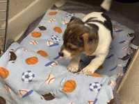 processed/65b11f87-a4cb-4967-98bd-b23c457fa109/listing/4e8c5eba-761e-49d6-b37d-ac590605d8ba/21ac6b4b-3c3d-4337-92d5-8861474b119d