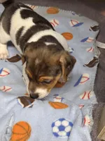 processed/65b11f87-a4cb-4967-98bd-b23c457fa109/listing/4e8c5eba-761e-49d6-b37d-ac590605d8ba/a0f97c54-eed6-4b8e-9dae-6a208561fa27