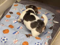 processed/65b11f87-a4cb-4967-98bd-b23c457fa109/listing/4e8c5eba-761e-49d6-b37d-ac590605d8ba/b3fc7fdb-78c4-487f-8f15-ce1b48a31c98