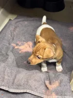 processed/65b11f87-a4cb-4967-98bd-b23c457fa109/listing/553b1038-13ae-4e2b-bc3c-30d1a9f8197e/52e1f006-ccd1-4bb0-9d3a-248a2545376d