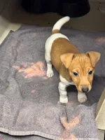 processed/65b11f87-a4cb-4967-98bd-b23c457fa109/listing/553b1038-13ae-4e2b-bc3c-30d1a9f8197e/5d48a497-c6fe-49e1-a1f7-147bfdc420af