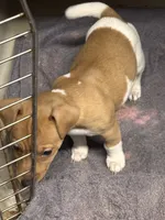 processed/65b11f87-a4cb-4967-98bd-b23c457fa109/listing/553b1038-13ae-4e2b-bc3c-30d1a9f8197e/ae42d9f6-b3da-44b1-b5b1-971357767d0e