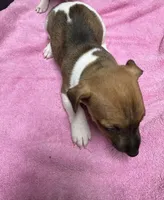 processed/65b11f87-a4cb-4967-98bd-b23c457fa109/listing/5bd22484-b7bf-4a7c-9480-67c0872dee7d/1b070457-f98e-48be-971e-b25bb3cb86cf