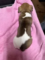 processed/65b11f87-a4cb-4967-98bd-b23c457fa109/listing/5bd22484-b7bf-4a7c-9480-67c0872dee7d/b276a135-9113-46ae-aa59-d3210d56d738