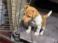 processed/65b11f87-a4cb-4967-98bd-b23c457fa109/listing/5c1e3c56-ab81-4c77-b03e-c65d1e3b1843/1dfa0f32-4228-4abd-a511-719dbe477159