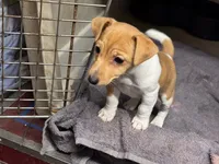 processed/65b11f87-a4cb-4967-98bd-b23c457fa109/listing/5c1e3c56-ab81-4c77-b03e-c65d1e3b1843/57118a6e-05ee-48ca-a709-8d0da8cd4cf8