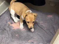 processed/65b11f87-a4cb-4967-98bd-b23c457fa109/listing/5c1e3c56-ab81-4c77-b03e-c65d1e3b1843/8deccb18-ee6a-4e6a-9d5e-31d4f76080b1