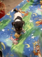 processed/65b11f87-a4cb-4967-98bd-b23c457fa109/listing/5ecf174f-aac4-4ac7-b394-54f04d90a6a9/7e7fe712-41af-4241-9c9a-bd53944014ef