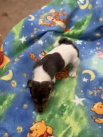 processed/65b11f87-a4cb-4967-98bd-b23c457fa109/listing/5ecf174f-aac4-4ac7-b394-54f04d90a6a9/a23a51d9-93a1-416b-91f5-e136ef37e1cc