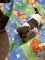 processed/65b11f87-a4cb-4967-98bd-b23c457fa109/listing/5ecf174f-aac4-4ac7-b394-54f04d90a6a9/bee5fe0e-b110-4072-b385-4d8fc9a9b1f6