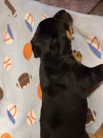 processed/65b11f87-a4cb-4967-98bd-b23c457fa109/listing/6e9c5381-e51a-4e51-8199-22882a6e45f5/528a6306-76c4-443c-8009-0e9fb2462fe1