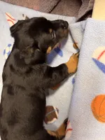 processed/65b11f87-a4cb-4967-98bd-b23c457fa109/listing/6e9c5381-e51a-4e51-8199-22882a6e45f5/8b31cb61-3ea1-4339-ae65-1c8d3d3e9104