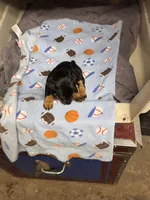 processed/65b11f87-a4cb-4967-98bd-b23c457fa109/listing/6e9c5381-e51a-4e51-8199-22882a6e45f5/9bf96b2c-fcda-478e-bb17-211ed1c30ec6