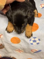 processed/65b11f87-a4cb-4967-98bd-b23c457fa109/listing/6e9c5381-e51a-4e51-8199-22882a6e45f5/9dfdf525-27c8-44c7-bf41-f61fb7608ca1