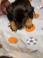 processed/65b11f87-a4cb-4967-98bd-b23c457fa109/listing/6e9c5381-e51a-4e51-8199-22882a6e45f5/d9981cd6-5e95-42cc-8033-c5fc2d8a75ca