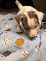 processed/65b11f87-a4cb-4967-98bd-b23c457fa109/listing/a2278a12-d9a6-4543-a89c-18ac649ae4b6/2bbe1217-9bc6-41c0-809a-8ffda28c2e97