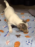 processed/65b11f87-a4cb-4967-98bd-b23c457fa109/listing/a2278a12-d9a6-4543-a89c-18ac649ae4b6/4cb975b8-e176-4d48-8406-e3890ddf7c86