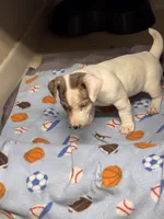 processed/65b11f87-a4cb-4967-98bd-b23c457fa109/listing/a2278a12-d9a6-4543-a89c-18ac649ae4b6/5523e1e8-f196-4929-a028-1ac3833d52cd