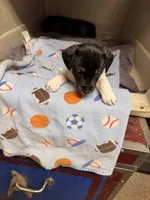 processed/65b11f87-a4cb-4967-98bd-b23c457fa109/listing/a69bc701-ca78-459e-b59c-a21c6dfc7432/377a1af2-785c-4804-a552-905dfd1fefb2