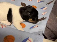 processed/65b11f87-a4cb-4967-98bd-b23c457fa109/listing/a69bc701-ca78-459e-b59c-a21c6dfc7432/3f1e6ca9-acec-4a7b-97d0-a463931ce06e