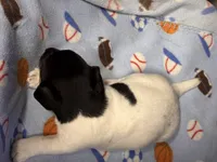 processed/65b11f87-a4cb-4967-98bd-b23c457fa109/listing/a69bc701-ca78-459e-b59c-a21c6dfc7432/f188d826-7aef-41ba-b2f6-c2cfabb239b4