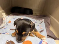 processed/65b11f87-a4cb-4967-98bd-b23c457fa109/listing/e914b95b-a1dc-44c9-a100-61fb3a5c1e48/4349d3b7-da0a-47ea-9c65-e24d50f3e0cf