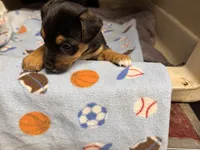 processed/65b11f87-a4cb-4967-98bd-b23c457fa109/listing/e914b95b-a1dc-44c9-a100-61fb3a5c1e48/93784eeb-7876-4da7-98f9-03ab238d0a59