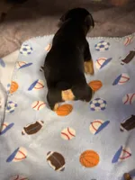 processed/65b11f87-a4cb-4967-98bd-b23c457fa109/listing/e914b95b-a1dc-44c9-a100-61fb3a5c1e48/bb4f1800-a4e2-4dba-b32f-5d48aadb34a3