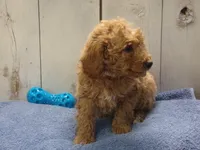 processed/65c928ed-1942-419d-bcc6-8d63ded022fd/listing/0ac0e80c-0add-4b5e-9cb1-44e58647d35b/351d2598-d4b9-40f5-8a51-44f3423496f0