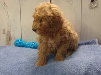 processed/65c928ed-1942-419d-bcc6-8d63ded022fd/listing/0ac0e80c-0add-4b5e-9cb1-44e58647d35b/b2b73aaf-a502-44ff-8520-d554675e946c