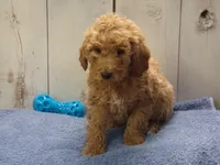 processed/65c928ed-1942-419d-bcc6-8d63ded022fd/listing/0ac0e80c-0add-4b5e-9cb1-44e58647d35b/e58e42ce-ceae-4339-b0c8-29064612b7a8