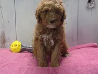 processed/65c928ed-1942-419d-bcc6-8d63ded022fd/listing/0fbfa716-8ae6-49ad-aa8e-fea577e30a4e/050f6771-3451-4a8f-9f05-65f5394542e9