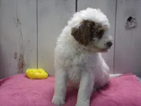 processed/65c928ed-1942-419d-bcc6-8d63ded022fd/listing/54bd9de5-ad2a-44c9-88c8-91029a92786a/72da18e8-73ce-462d-a66f-fd55ee560fb8