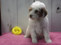 processed/65c928ed-1942-419d-bcc6-8d63ded022fd/listing/54bd9de5-ad2a-44c9-88c8-91029a92786a/fed4848d-eb13-42f4-a79c-a05ac9950dd3