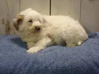 processed/65c928ed-1942-419d-bcc6-8d63ded022fd/listing/84a44a72-a3e1-4a5d-a5dc-87d811fad9d7/1083b9c1-f845-426a-a21b-7ad6aa4c0d93