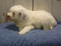 processed/65c928ed-1942-419d-bcc6-8d63ded022fd/listing/84a44a72-a3e1-4a5d-a5dc-87d811fad9d7/37ef7201-eede-4452-8f2b-91b9909e2292